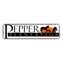 Pepper Plantation